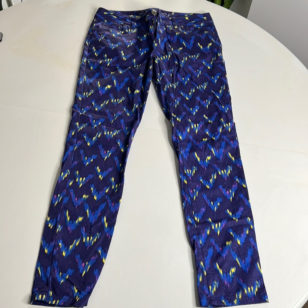 The Limited Imprinted Multicolor Jeans